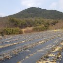 기환농장 이미지