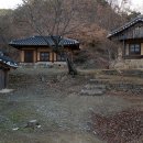 산수정 이미지