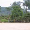 물야초등학교 이미지