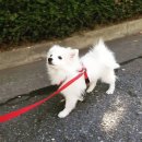 플래니터리헬스 이미지