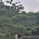 대경당구장 이미지