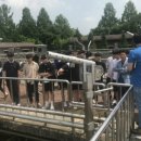 청평공공하수처리장 이미지