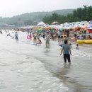 율포해수욕장 이미지