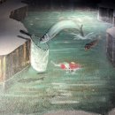 카페오르 이미지