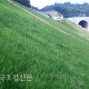 [한국조경신문] ‘폭우’도 흔들지 못한 신녹화공법의 기세 이미지