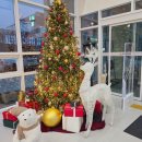 손재로 | 광주하남시립도서관 개관, 이용후기