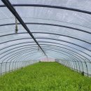 백운숯불갈비 | 청도 미나리삼겹살 맛집, 청도역 맛집 – 백운숯불갈비 방문 후기