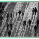 세탁하다 이미지