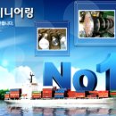 연일주식회사 네이버블로그