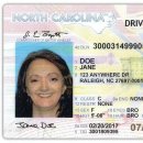 [일상 정보] 한국 운전면허를 미국 운전면허로 변경하기 - 노스 캐롤라이나 주 이미지