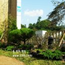 뜰안의행복 이미지