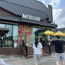 식물101 | [파주 카페] 피크닉 감성과 넓은 주차장을 갖춘 식물 인테리어 카페, 'MOD101' 방문 후기