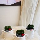 상남동137 이미지