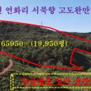 매물번호: 1000-181,지곡면 연화리 특급매물 경사도가 완만한 임야 농림지역 서북향65,950㎡(19,950평) 이미지