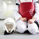 장광재 박사 태권도 네이버블로그