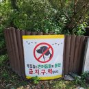 유어초등학교 | 유니버드_ 팀장의 우포늪 방문 후기