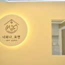 너와나,묘연 | [고양이 미용 전문샵] 너와 나,묘연 시공후기