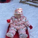 배내의아침 독채펜션 | 경남 눈놀이 숙소 양산 눈썰매장 배내허브랜드 독채 펜션