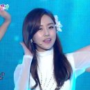 베스티즈