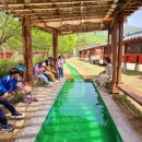 대승이네 이미지