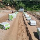 심기보농장 이미지