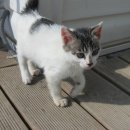 김순화농장 이미지