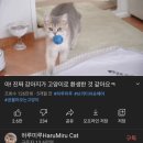 MBTI별 좋아하는 유튜브 재질 이미지