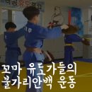 백곰유도클럽 이미지