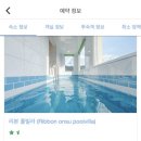 리본온수풀빌라 이미지