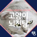 연성동물병원 이미지