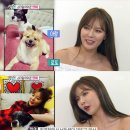 현아농장 이미지