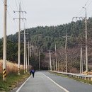 쉬미항로 이미지