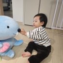 건강나눔약국 | 최대 90％ 할인 초특가 라이브 방송, 클릭메이트 셀러추천 창고털이이, 가격보고 놀란 후기