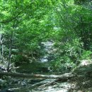 청벽가든 이미지