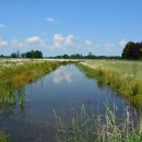 숲놀이 지도사 이미지