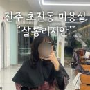 살롱리시안