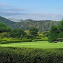 신평남부길 이미지