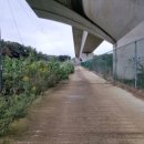 접지농장 이미지