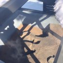 판교생활유적군(백제~조선시대) 이미지