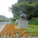 자등 3리 이미지