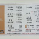 금빛코다리 이미지