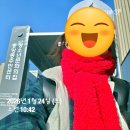 솔오름전망대 | 여자 혼자 솔오름 가능? A/B코스 둘 다 버스로 다녀온 여행 후기🔥