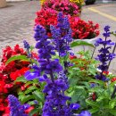 다복행정사사무소 이미지