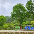 치명자산대여소 이미지