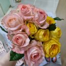 송현농장 | 농라 생화배달 후기 꽃시장보다 저렴한 퀄리티 좋은 꽃다발 선물