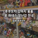후쿠오카 강아지 용품 텐진 P2 방문 후기 가격 정보