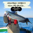 대물낚시 | 제주도체험낚시 예약했다가 120cm 대물 실화냐고요…ㅣ서귀포선상체험낚시 민성호 후기
