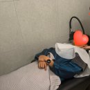 목동 | [인생 클리닉추천] 리얼드살롱 목동점 후기(feat. 수디자이너님)