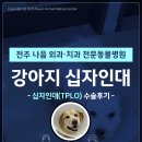 나음동물메디컬센터 이미지