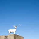 대부해솔길 6-2코스(순환코스) 이미지